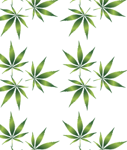 cannabis-1032131__480.png