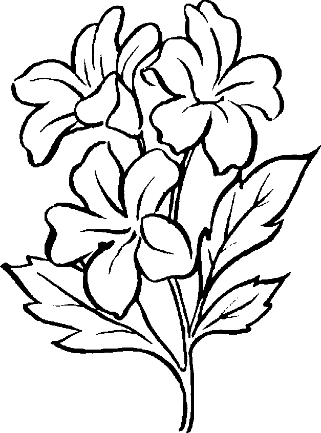 plant-clipart-black-and-white-floral44.png