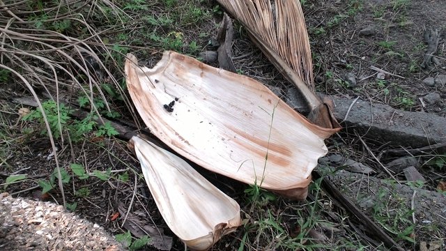 P_20180121_163217.jpg