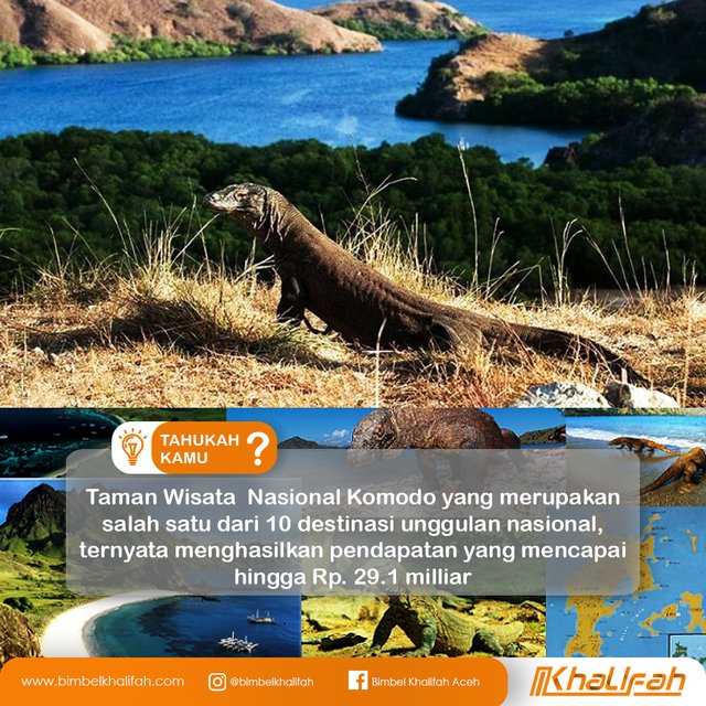 wisata komodo.jpg