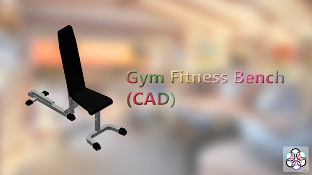 Gym Fitness Bench.JPG