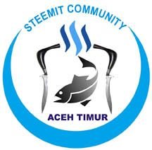 aceh timur.jpg