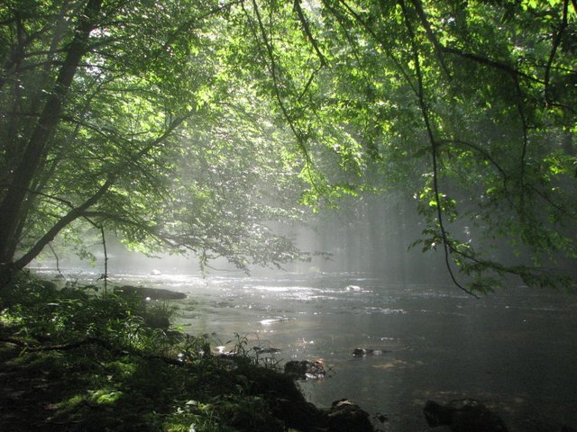 Cataloochee_IMG_2.JPG