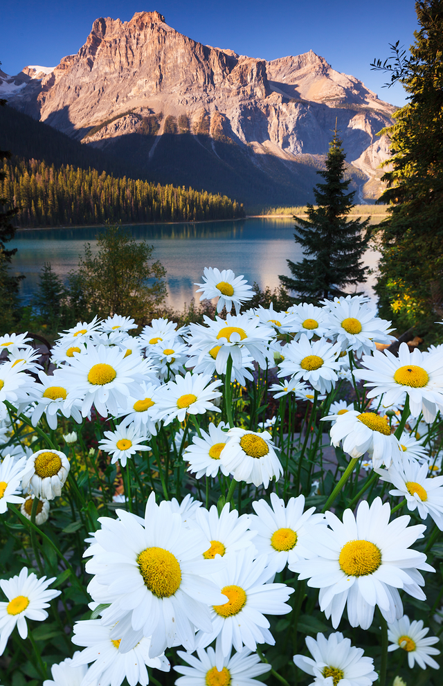 #3 Canada's Epic Icefields Parkway