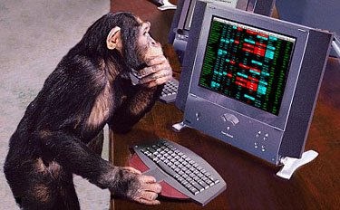 353-nyse-chimp.jpg