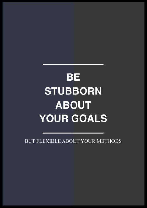 177796-Be-Stubborn-About-Your-Goals-But-Flexible-About-Your-Methods.jpg