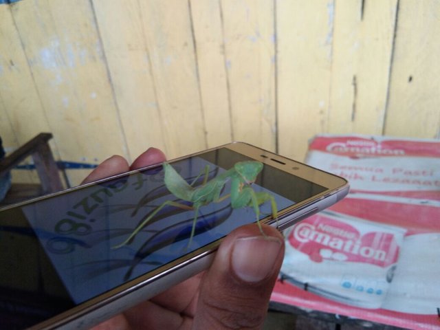 WhatsApp Image 2018-01-28 at 14.40.12 (3).jpeg