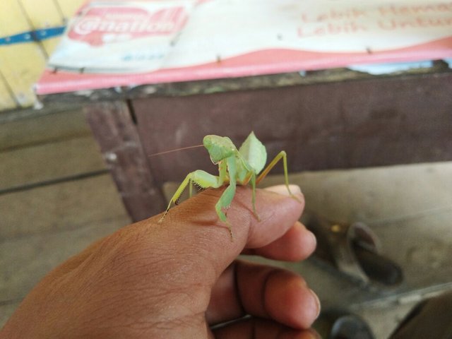 WhatsApp Image 2018-01-28 at 14.40.11.jpeg