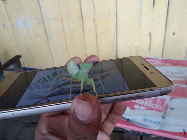 WhatsApp Image 2018-01-28 at 14.40.12.jpeg