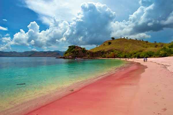 Pantai-Pink-Pulau-Komodo.jpg