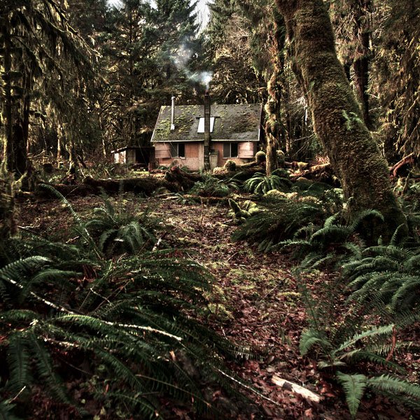 Cabin-in-the-Woods.jpg