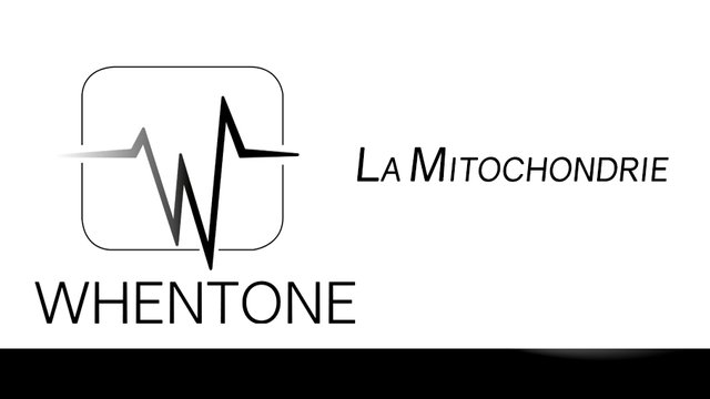 La mitochondrie.jpg