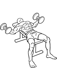 199px-Dumbbell-flys-2.png