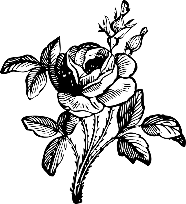 rose-33903_960_720.png