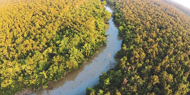 Sundarbans.jpg