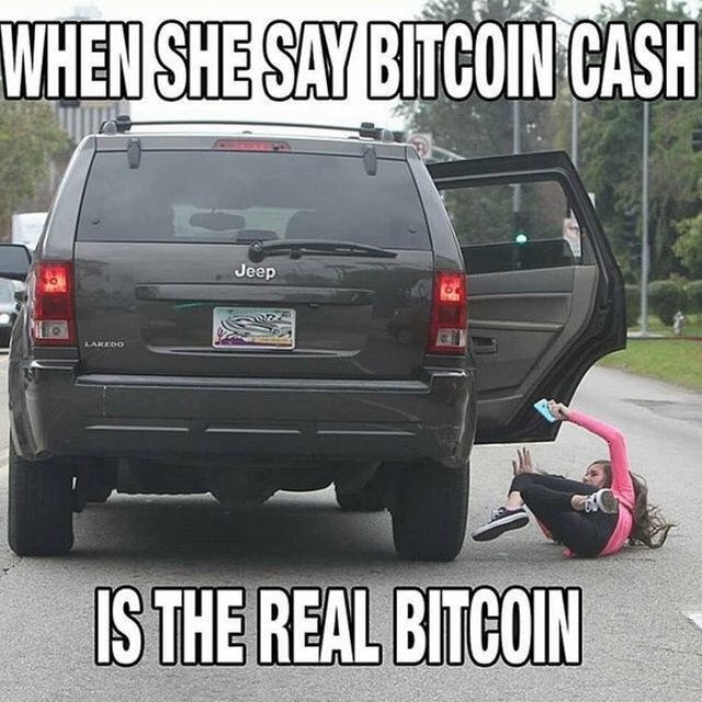 when-she-say-bcash-is-the-real-bitcoin-meme.jpg