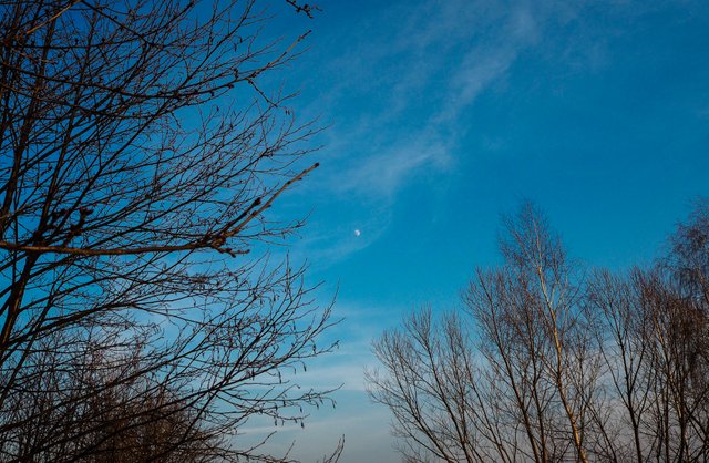 blue evening sky 4.JPG