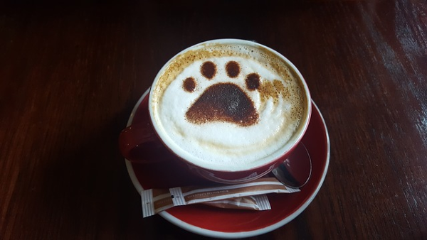 coffee_paw.png