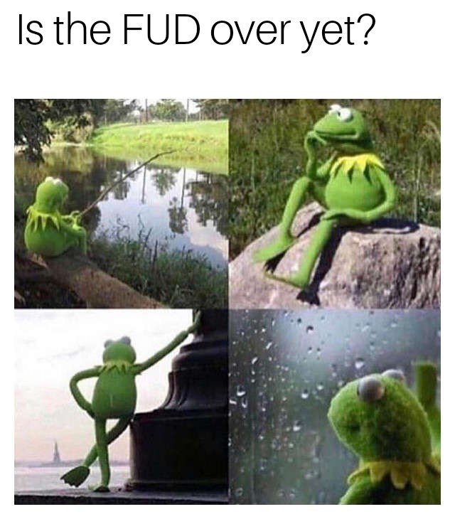 Waiting kermit JMU.jpg