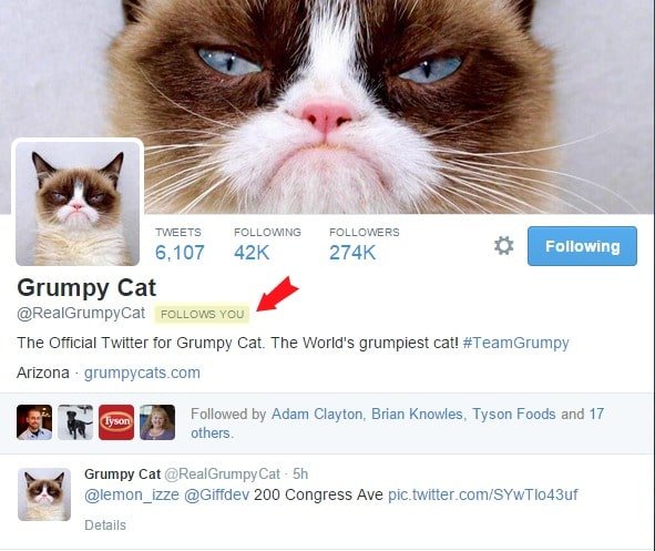 Grumpy-Cat-on-Twitter-BoulderLocavore.com_.jpg