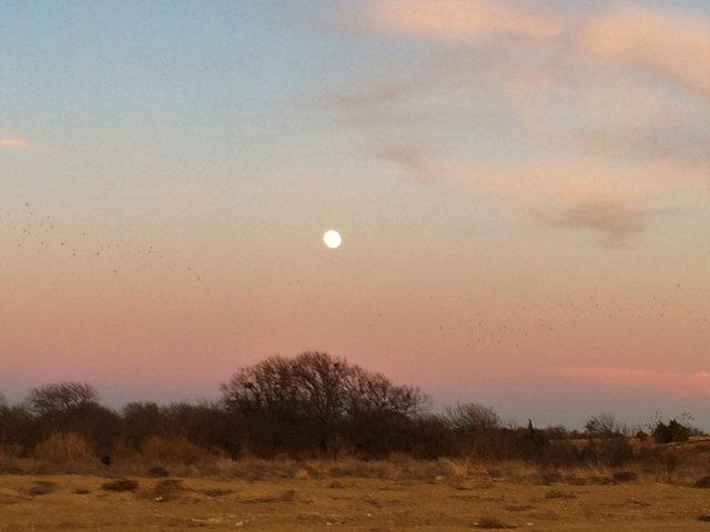 TexasSkySuperMoon.JPG