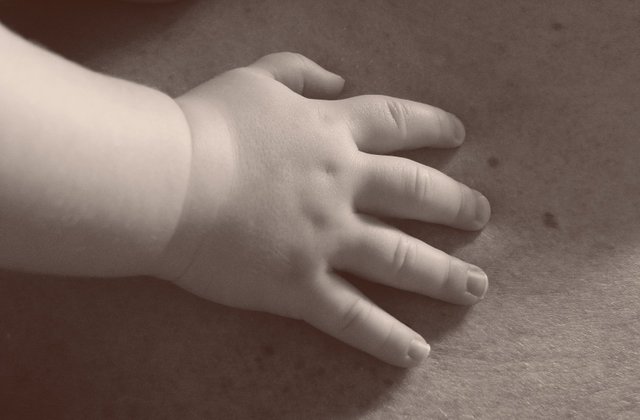 baby-hand-1435816.jpg