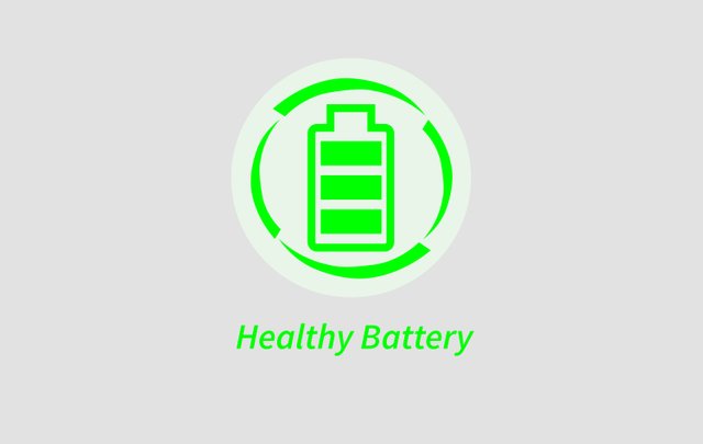 HealthyBattery I .jpg