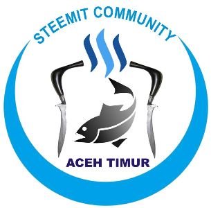 Steemit Comunity Aceh Timur.jpg