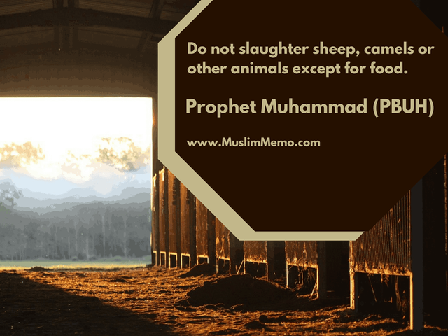 muhammad-hadith-quotes-war-islam-5.png