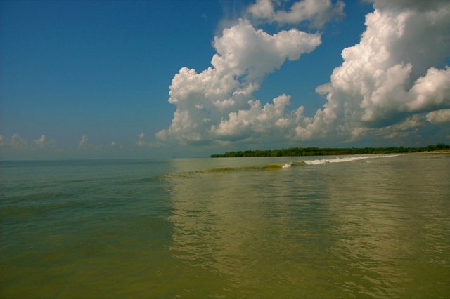 Beautiful_water_scene_in_Bangladesh.jpg