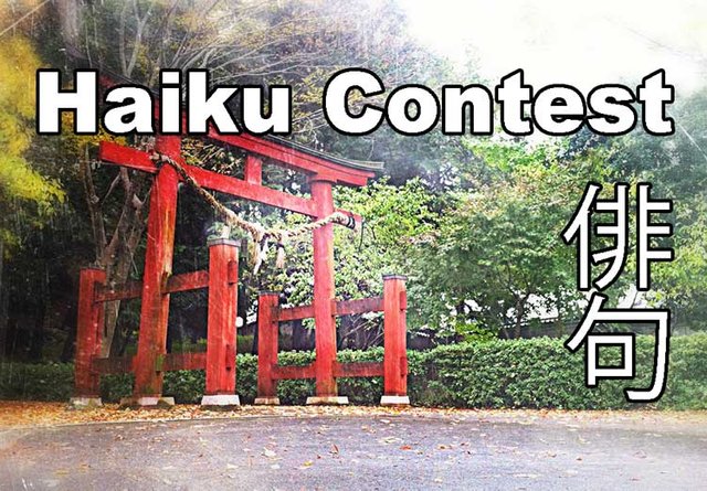 haiku-contest.jpg