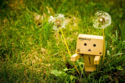 danbo_pissenlit_by_lepixtolero-d6o5pbk.jpg