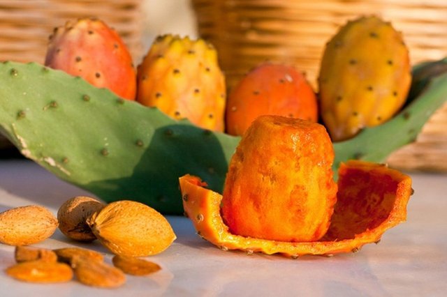 The Nutritional Value Of Cactus Fruits Steemit