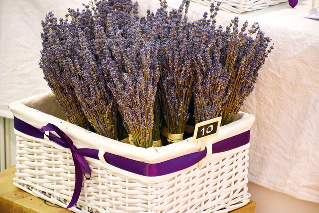 lavanda.jpg