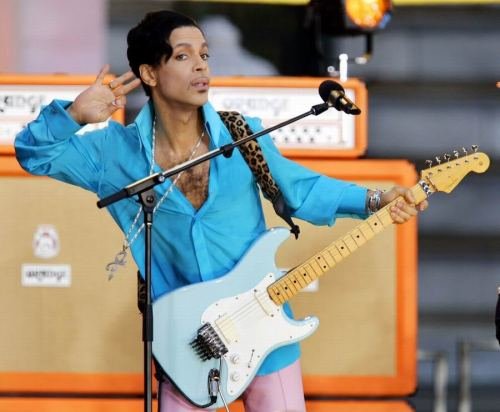 Prince_guitar_collection_20.jpg