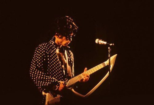 Prince_guitar_collection_27.jpg