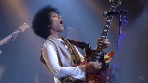 Prince_guitar_collection_25.jpg