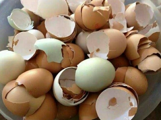 Mengubah Kulit Telur Menjadi Karya Seni Yang Indah Steemit