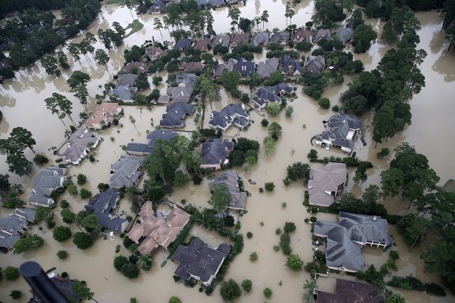 harvey-humans-disaster.jpg