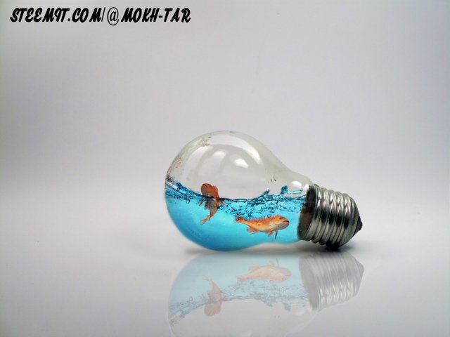 water splash in bulb.jpg