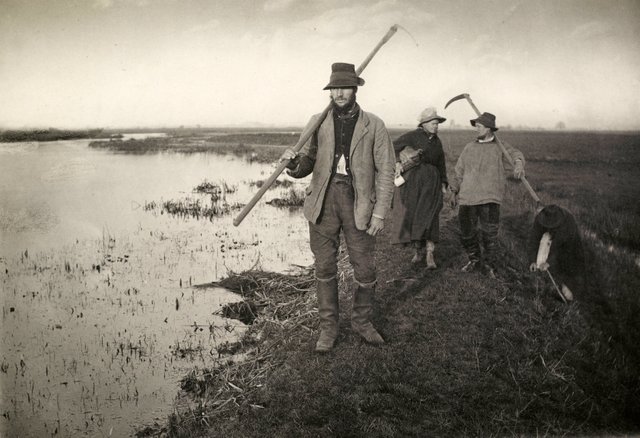 Coming_Home_from_the_Marshes,_Peter_Henry_Emerson,_1886.jpg