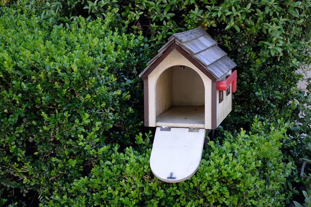 Garden-House-Nature-Bird-House-Bird-Natural-2727658.jpg