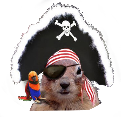 pirate squirrel.png