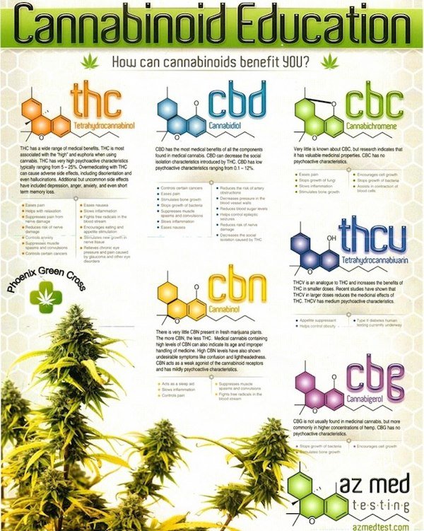 cannabinoid-education.jpg