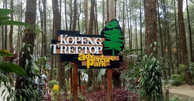 Kopeng Treetop Adventure Semarang Central Java Steemit