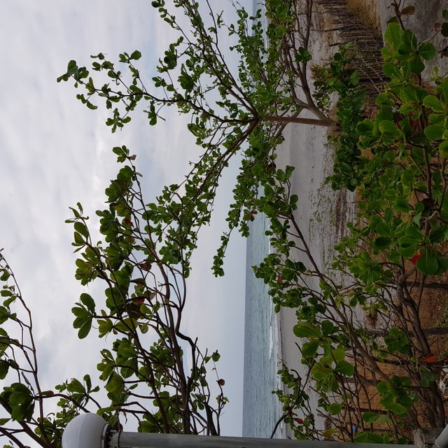 20180211_125811.jpg