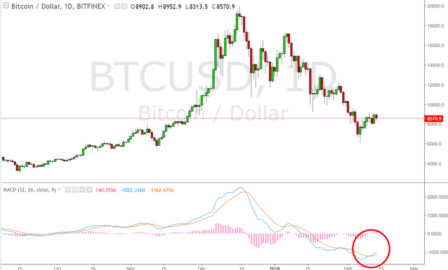 bitcoin 2.png