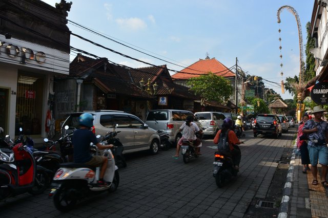 ubud-1.jpeg