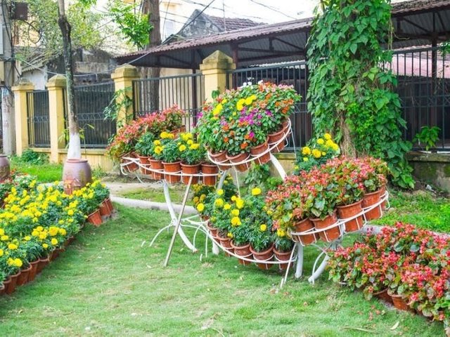 cara-membuat-taman-bunga-yang-indah-di-rumah-2-667x500.jpg