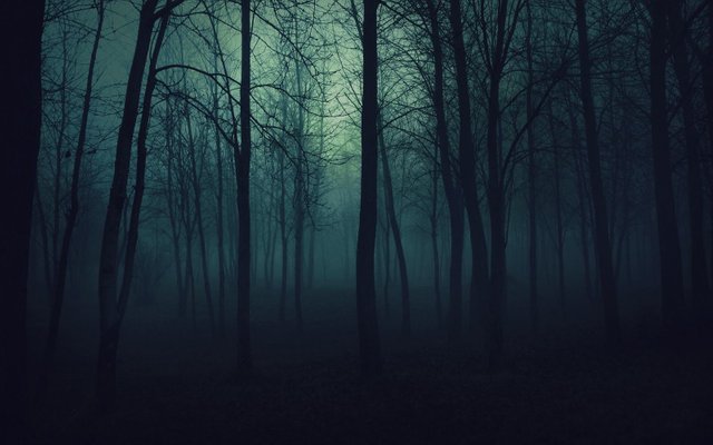 scary-trees-at-night.jpg